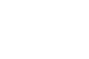 aeroflex-logo